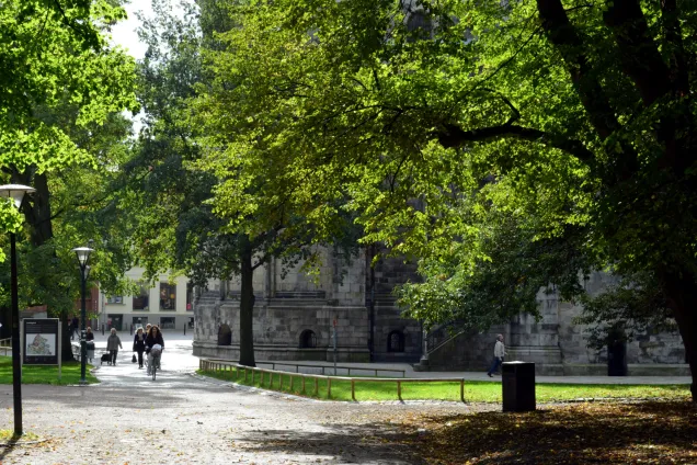 Lundagård with trees.Photo.